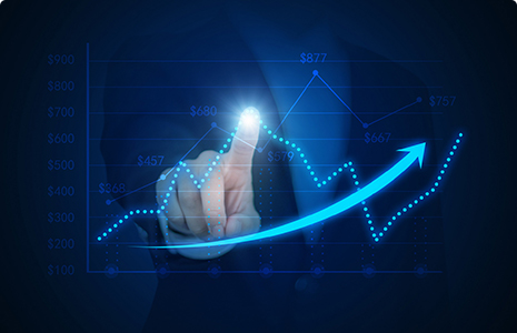 完善制度，规范流程，严格履行信息披露义务