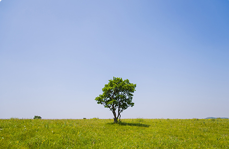 完善制度，规范流程，严格履行信息披露义务