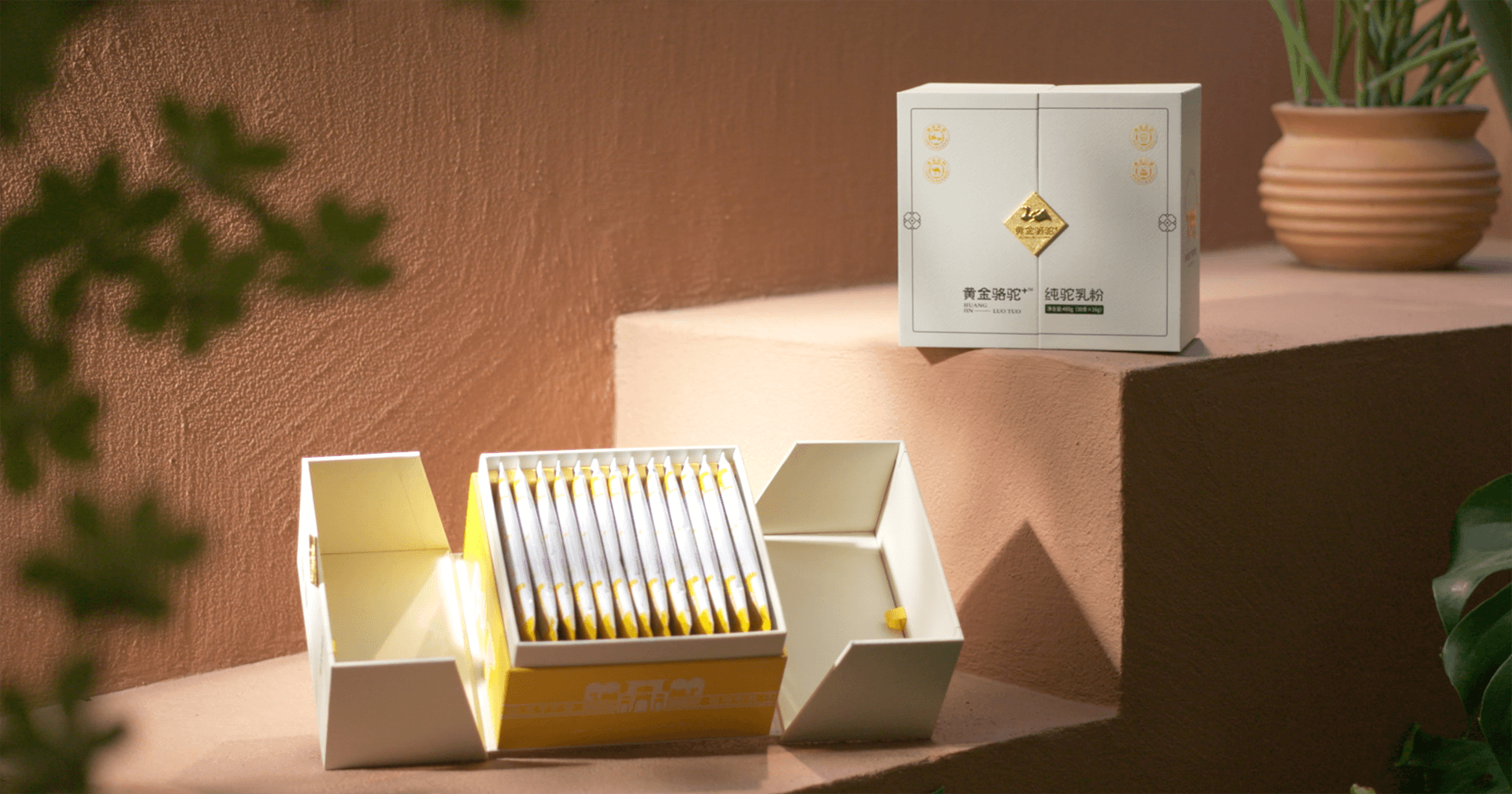 定位小众高端乳粉，jinnianhui今年会推出驼奶品牌“黄金骆驼+”，角逐乳品新市场！